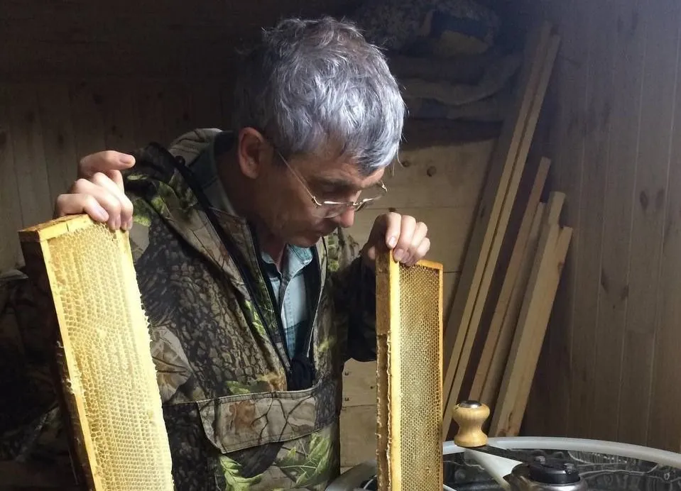 Защиту медоносов из ЕАО поддерживает депутат Госдумы Александр Петров