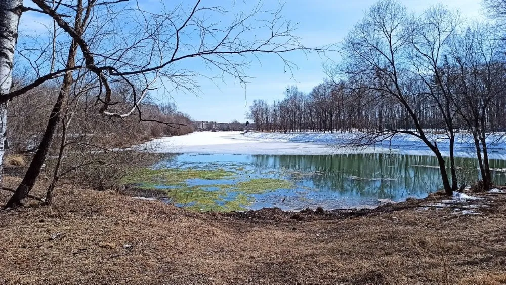 Сильный ветер на фоне плюсовых температур - прогноз погоды на 29 марта