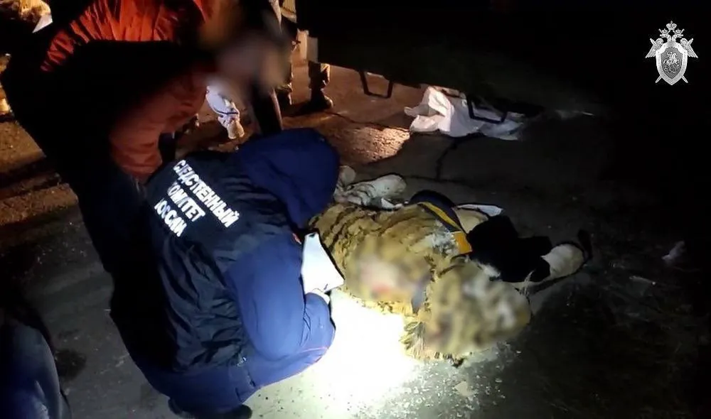 Труп тигра пытались продать трое жителей Хабаровского края