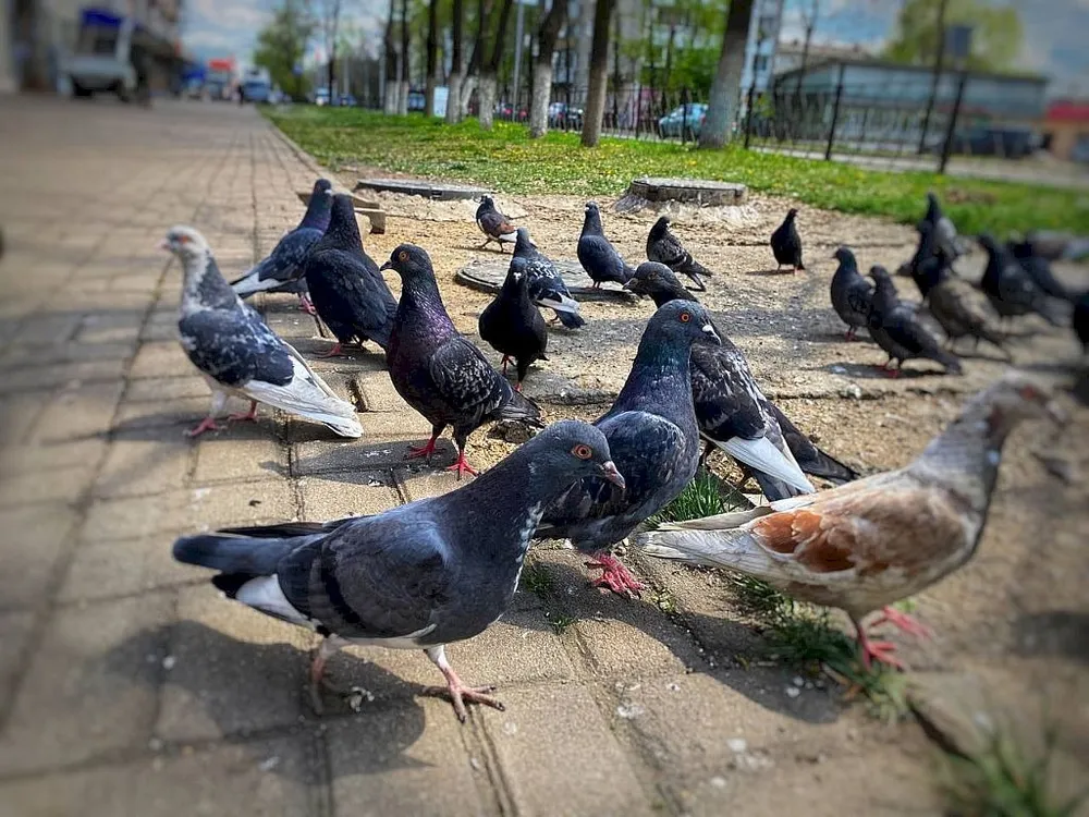 Летние температуры установились в ЕАО - прогноз погоды на 3 апреля