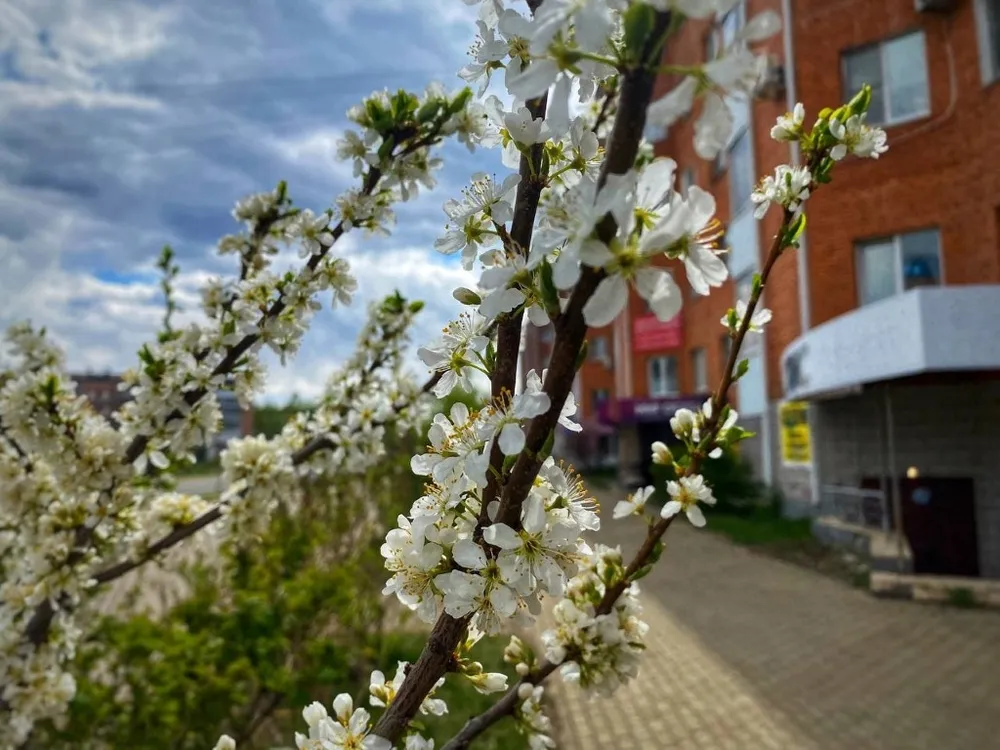 В мае отдохнуть 11 дней смогут россияне