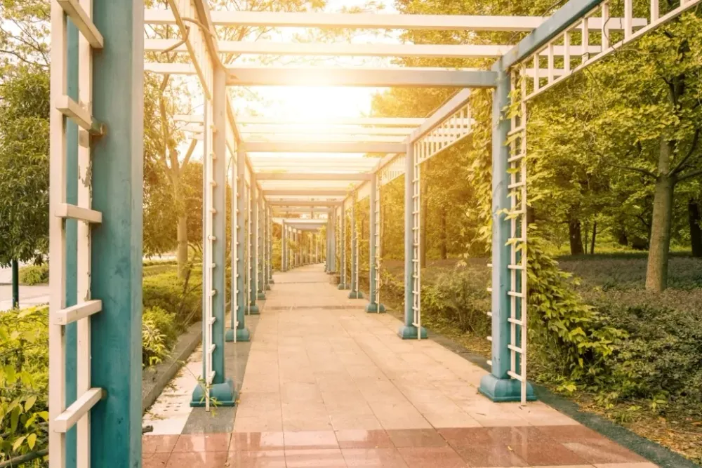 Перголы установят в парке культуры и отдыха в одном из поселений ЕАО