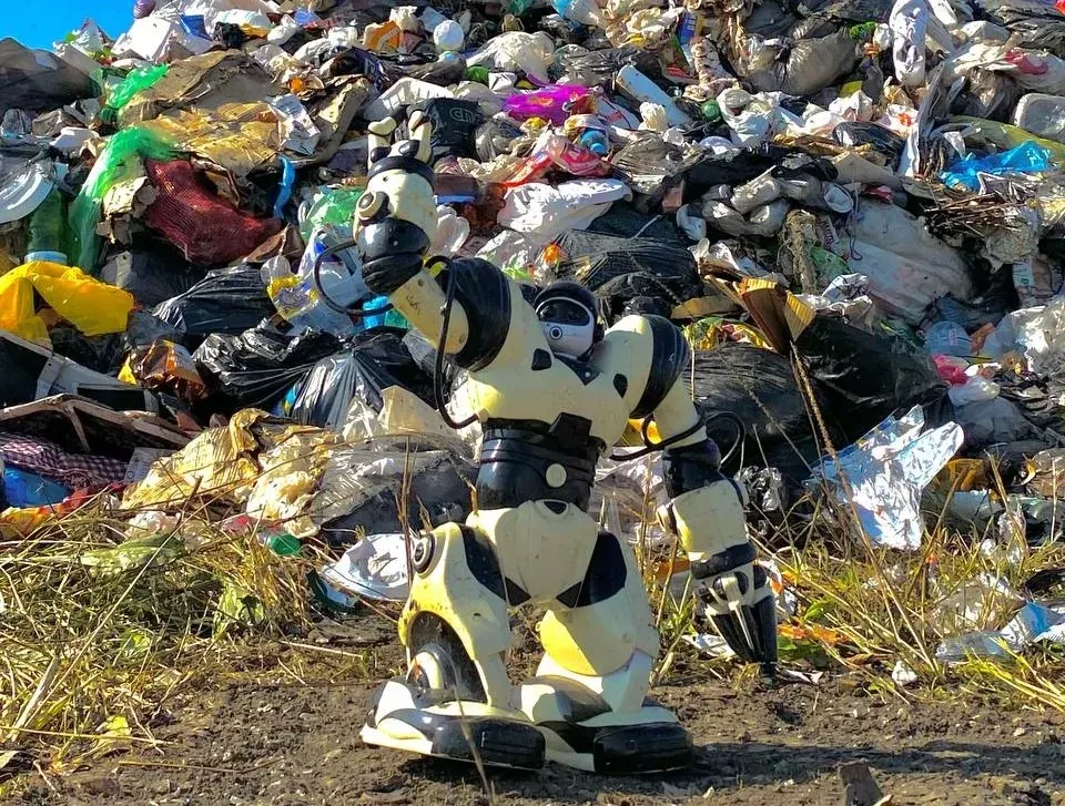 Более 1,5 млн рублей на ликвидацию несанкционированных свалок потратили в Биробиджане