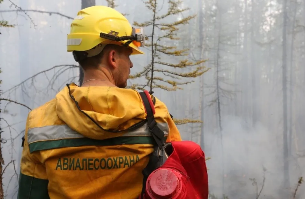 Режим ЧС введён в лесах на территории Еврейской автономной области
