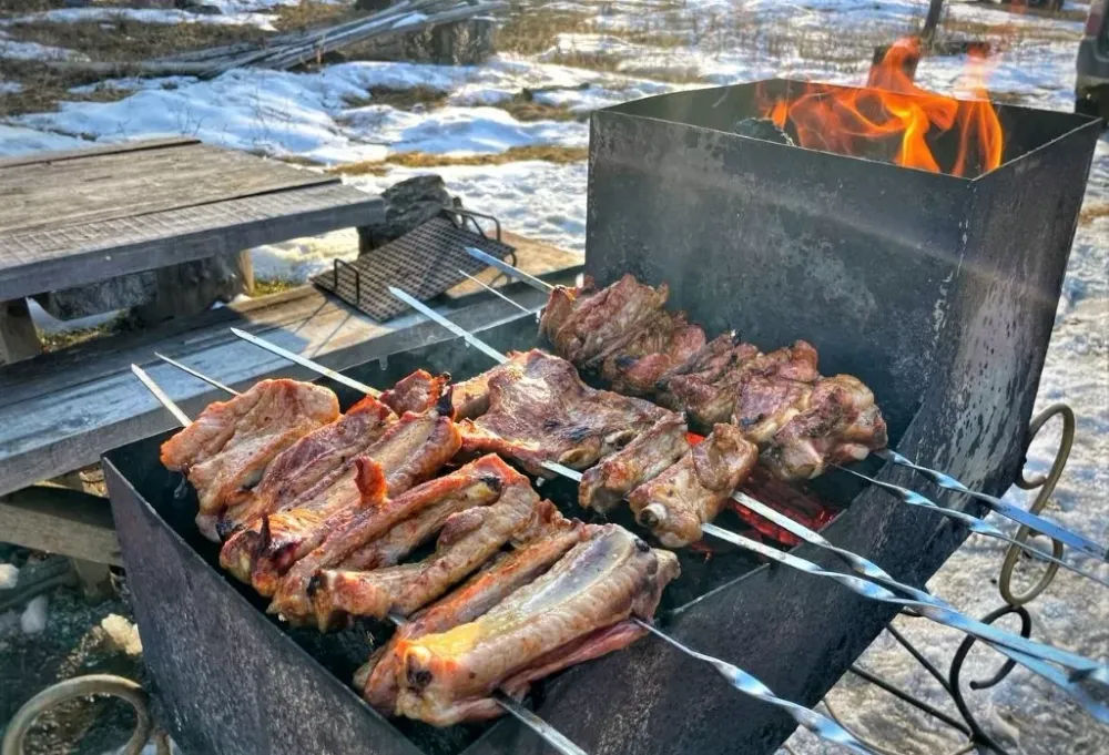 Шашлык на природе может обойтись в 10 тысяч рублей жителям ЕАО