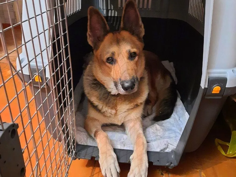 Нарушения при реализации программы ОСВВ выявила прокуратура в Биробиджане