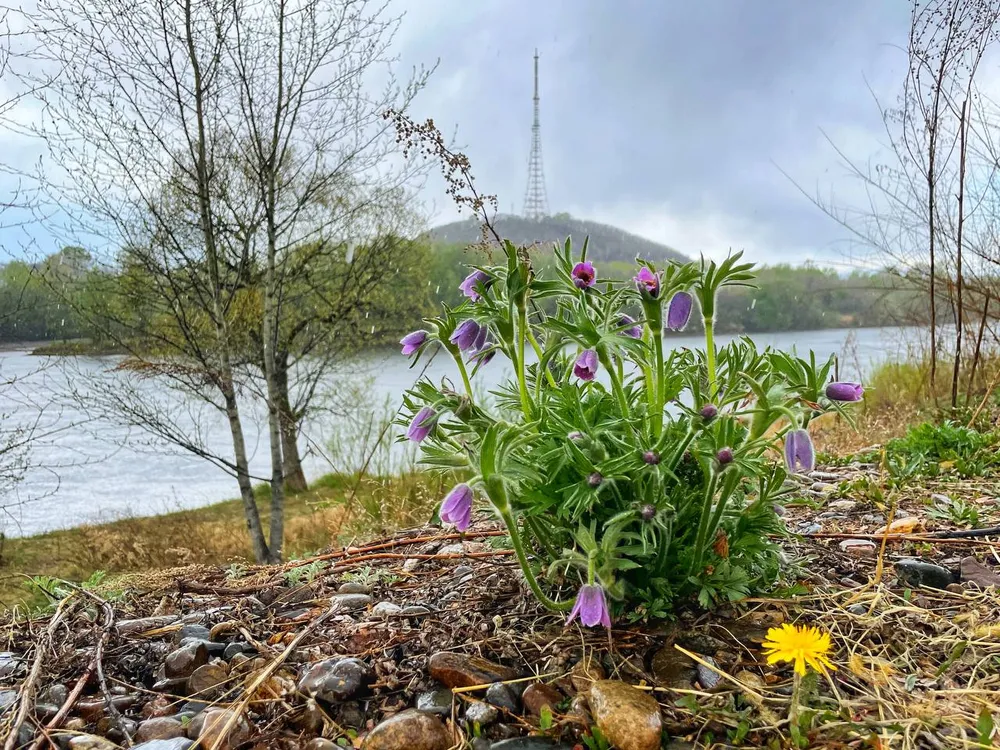 Прогноз погоды на грядущие праздничные дни в ЕАО