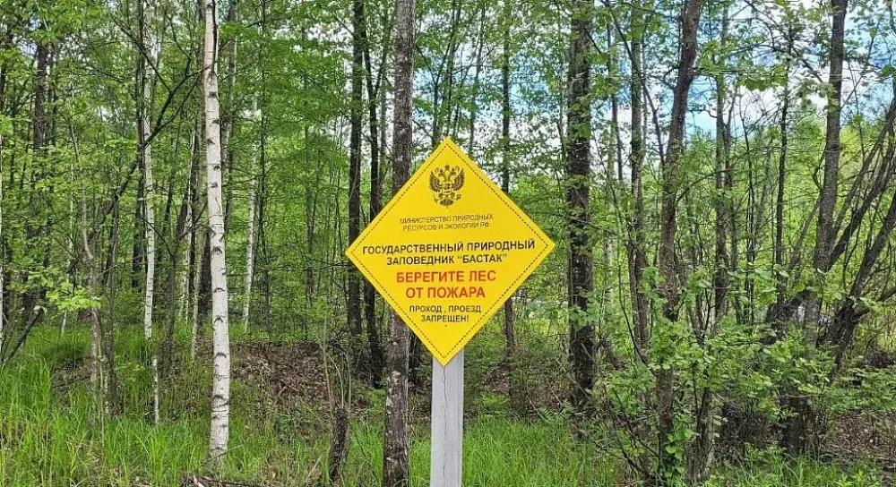 Режим чрезвычайной ситуации в лесах на территории ЕАО отменён