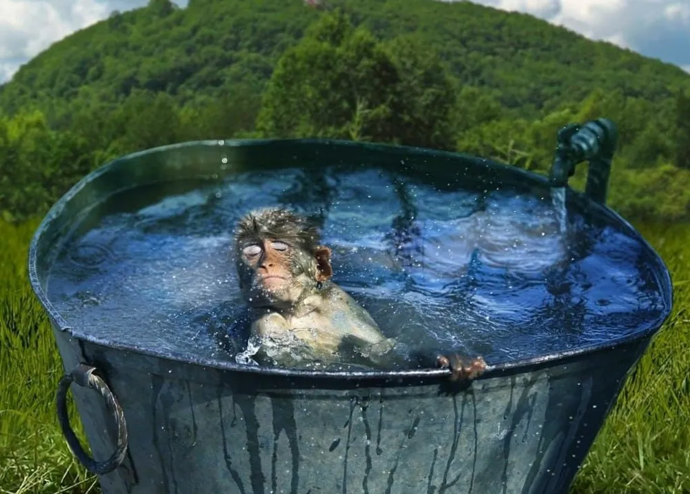 Как помыться без горячей воды: полезные лайфхаки