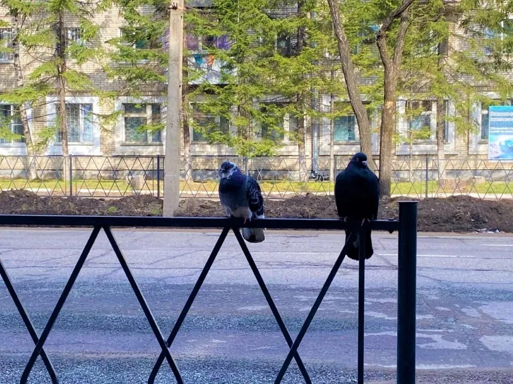 Значительно потеплеет в ЕАО 11 мая - прогноз погоды