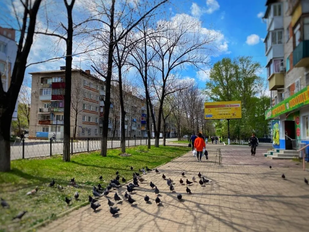Небольшой дождь ожидается в ЕАО 3 мая - прогноз погоды