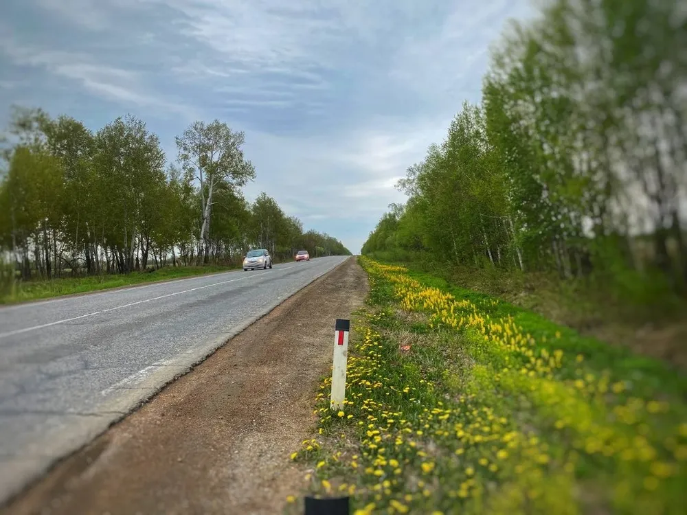 Шумовые полосы нанесут на участке федеральной трассы Р-297 «Амур» в ЕАО