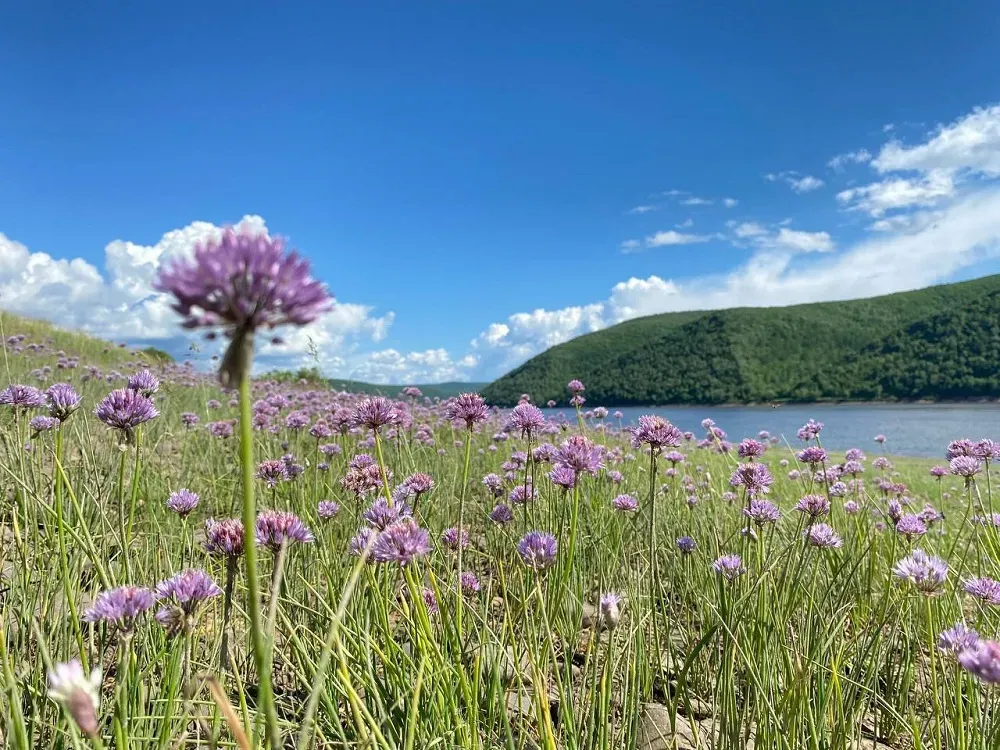 Как круто провести выходные в ЕАО