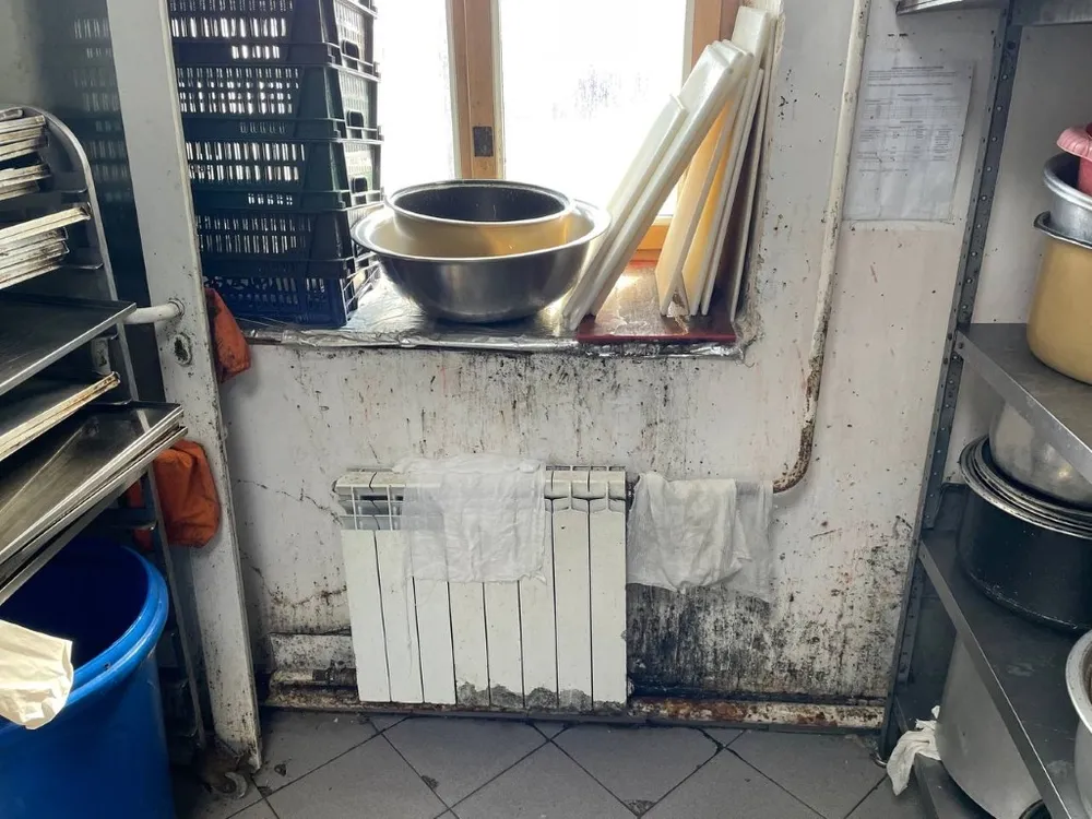 Острое отравление сендвичами и онигири получили 11 человек в Хабаровске