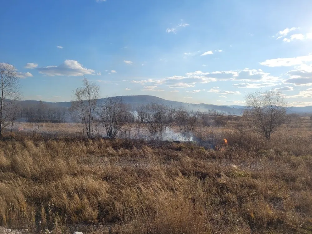 Пожарами пройдено более 135 тысяч гектаров в ЕАО