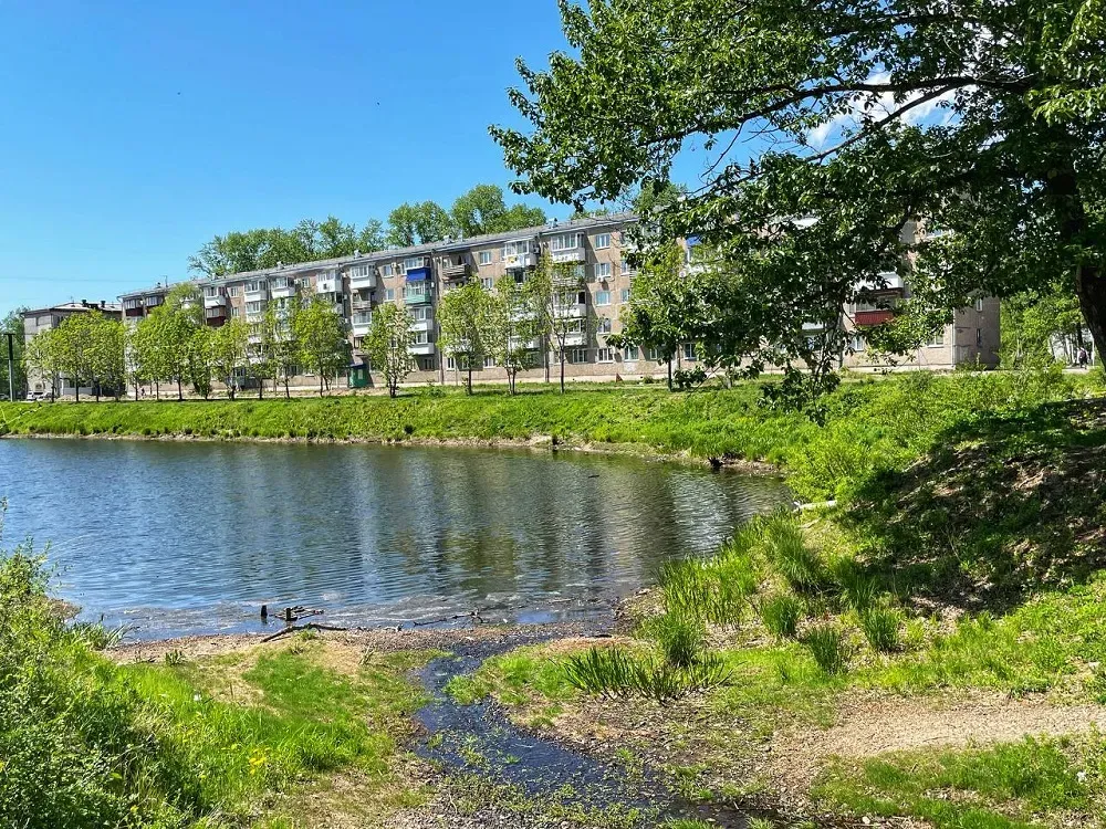 Дождливо, но ясно: прогноз погоды в ЕАО на 27 мая