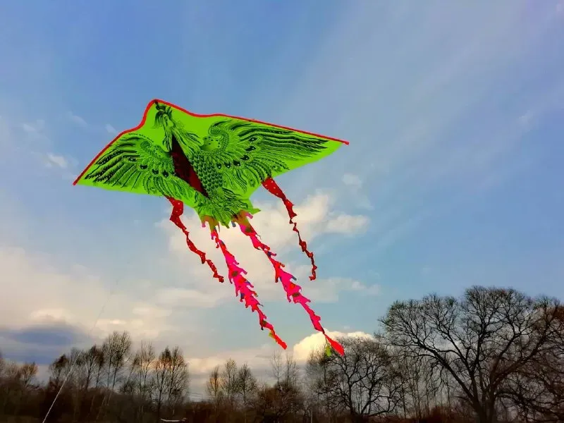 Запустят воздушных змеев, научатся готовить и делать маникюр дети в ЕАО