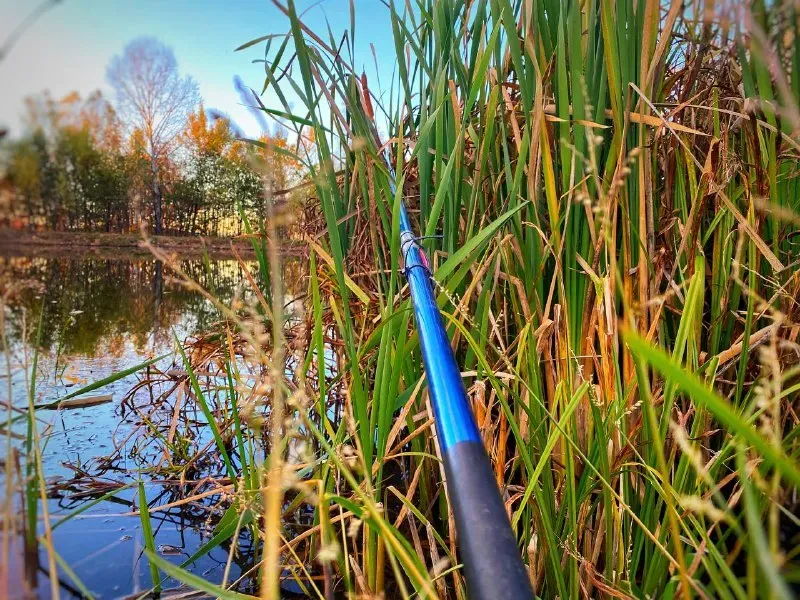 За незаконную рыбалку предстанут перед судом жители Хабаровского края