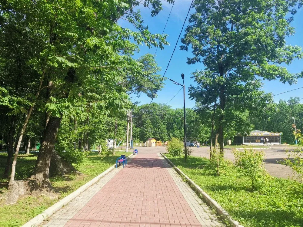 Когда откроется городской парк, рассказали в мэрии Биробиджана