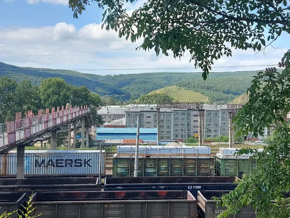 За нападение собаки на ребенка заплатит администрация Облученского района ЕАО