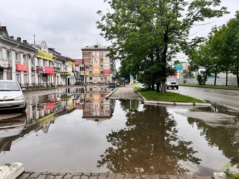 Осадки и порывы ветра: прогноз погоды в ЕАО на 9 июня