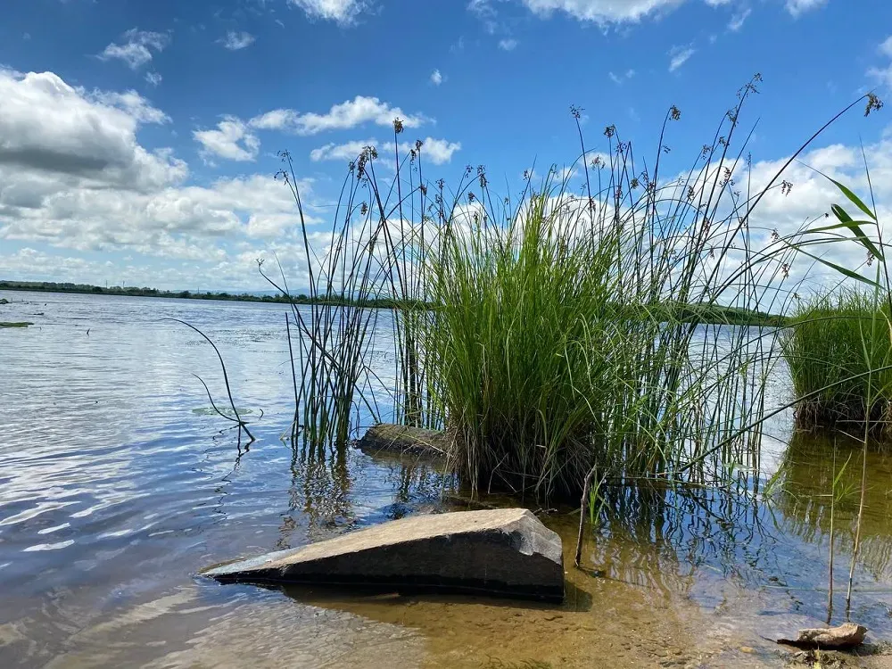 Жара и ливни с грозой - прогноз погоды на 28 июня в ЕАО
