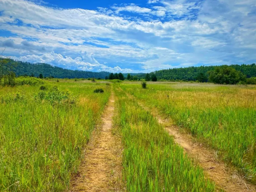 Получить Дальневосточный гектар в собственность могут жители ЕАО
