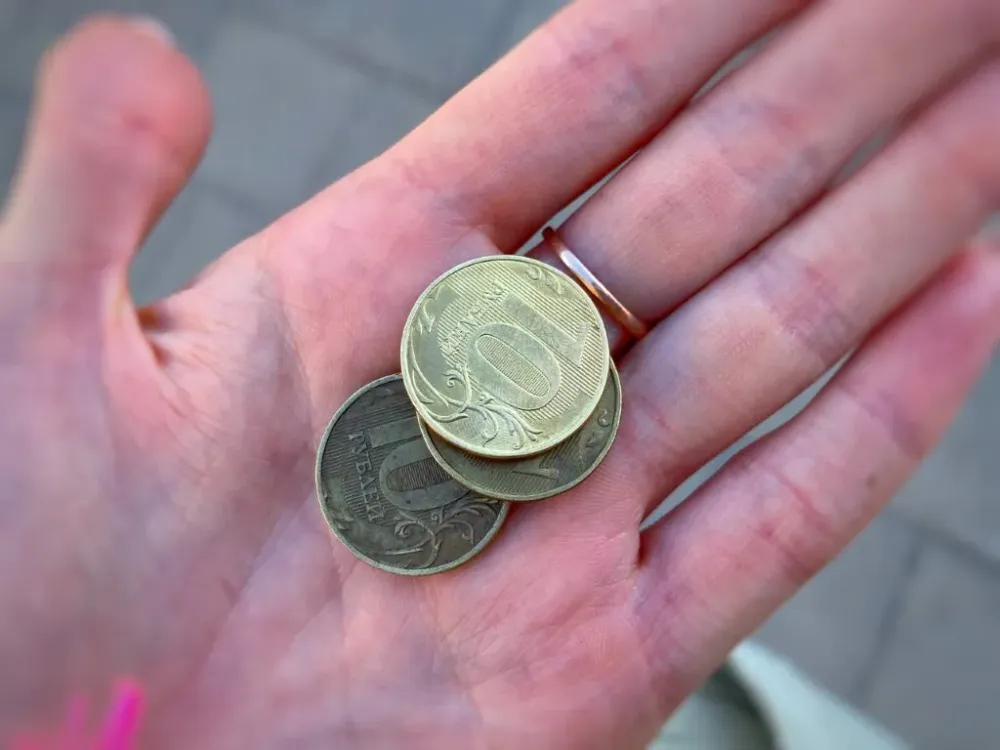 На мошенничестве с бюджетными средствами поймана жительница ЕАО