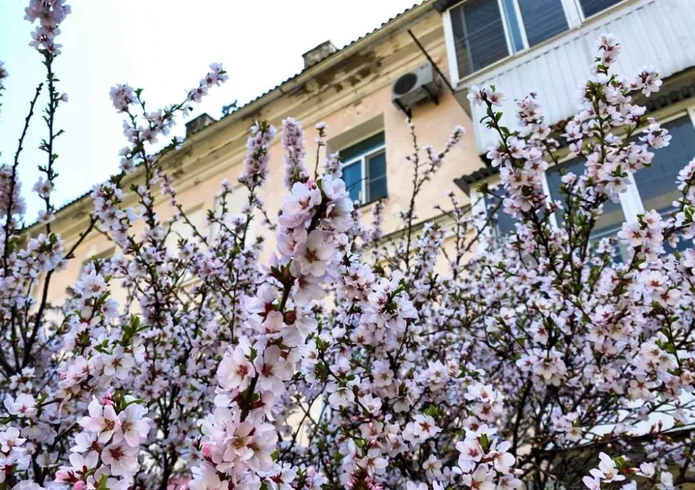 Четыре выходных дня предстоит на первомай 2024 года россиянам