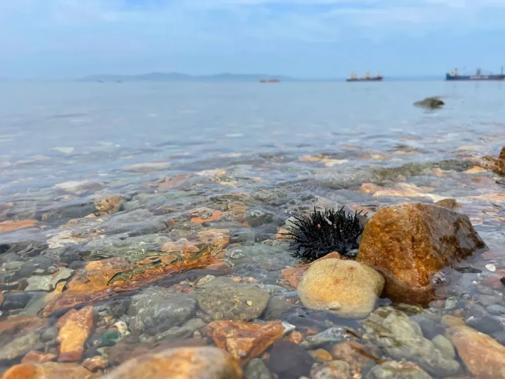 Отпуск на Балтийском побережье могут планировать жители ЕАО