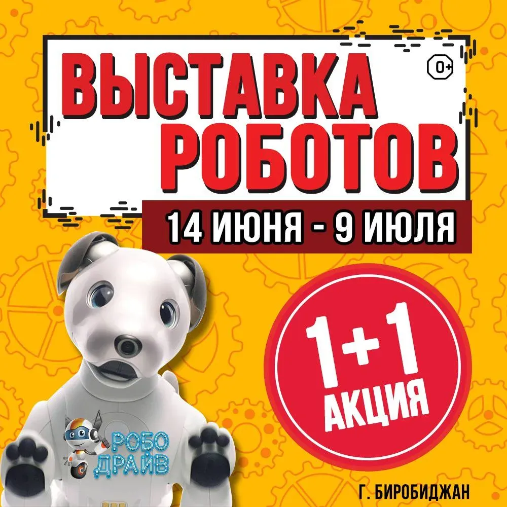 Впервые большая выставка «РОБОДРАЙВ» пройдет в Биробиджане