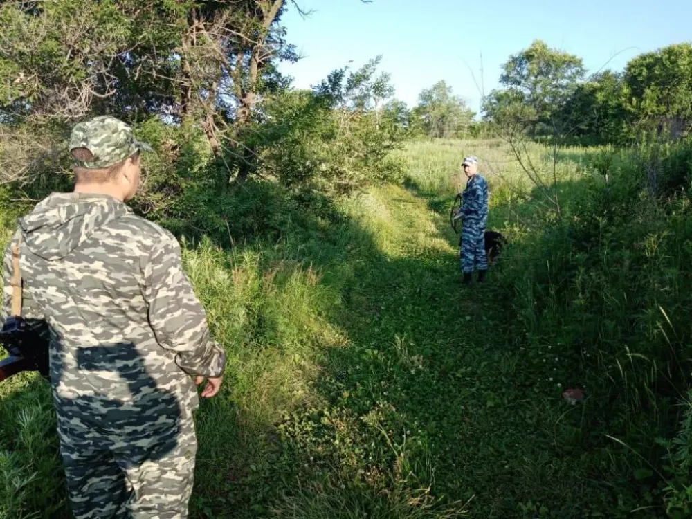 Угрожает ли пропавшему малышу встреча с медведем, рассказали в «Лига Спас» ЕАО