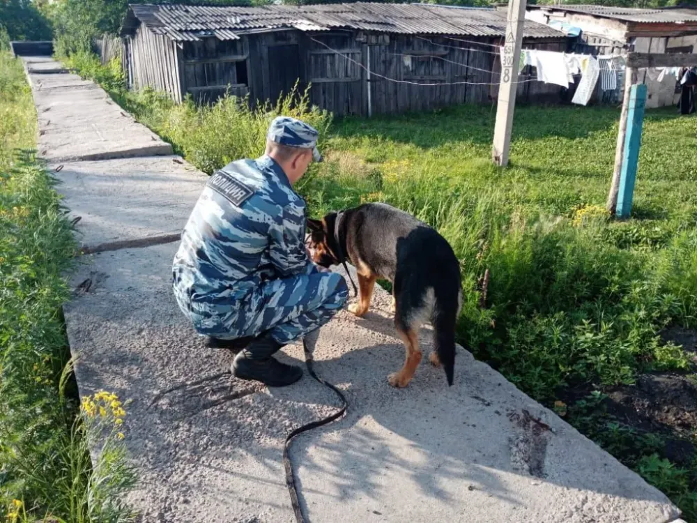 Найден живым пропавший  четырёхлетний Артём из ЕАО
