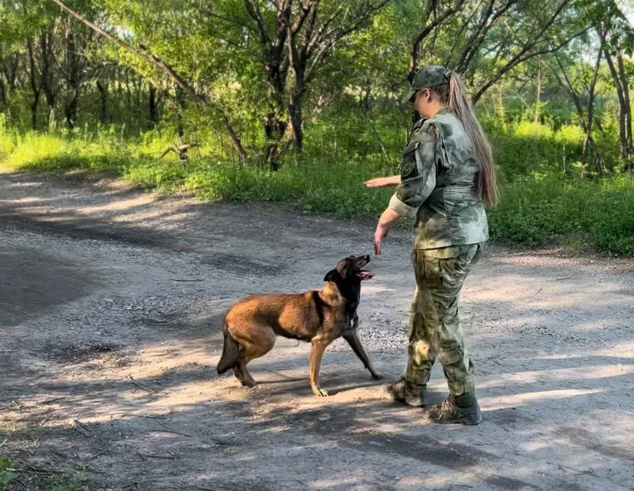 Собаки помогли раскрыть более 10 преступлений  в ЕАО