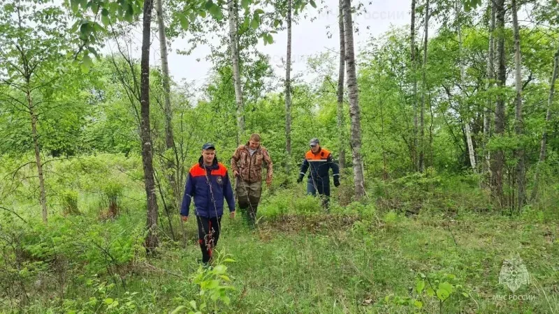 Что делать если заблудился в лесу: памятка от МЧС по Еврейской автономной области