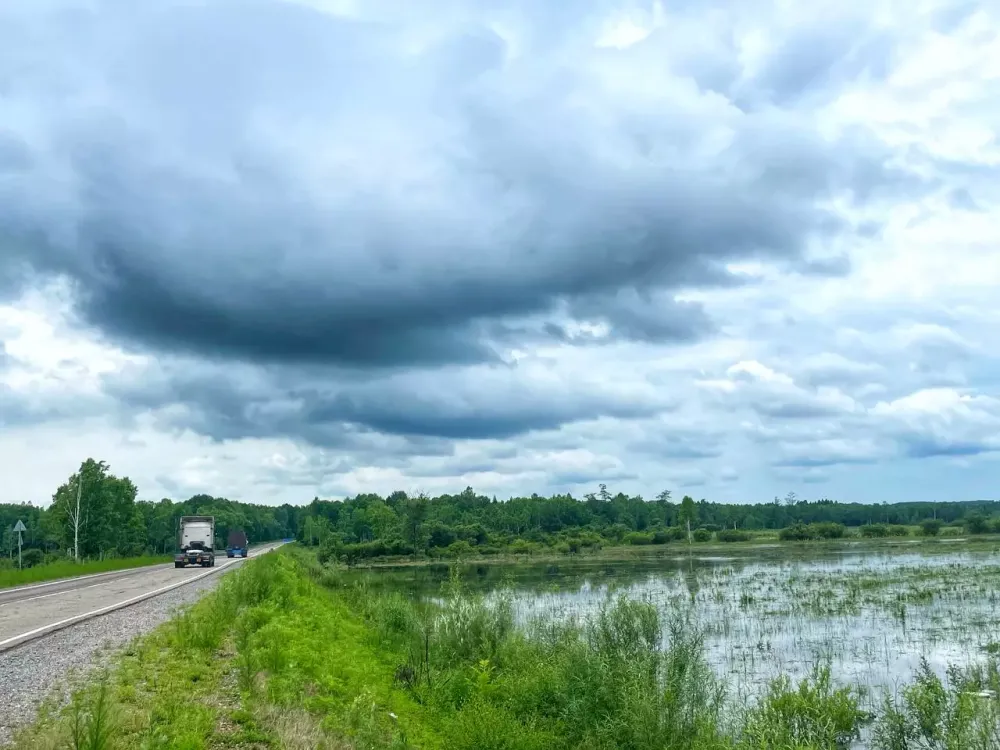 Жара и грозы: синоптики рассказали о погоде в понедельник