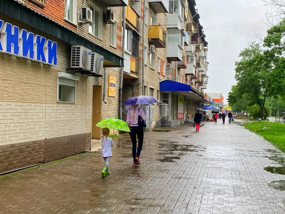 На смену зною придут дожди в ЕАО 29 июля