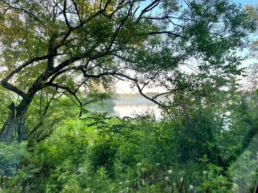 Утонул в карьере накануне молодой житель Биробиджана