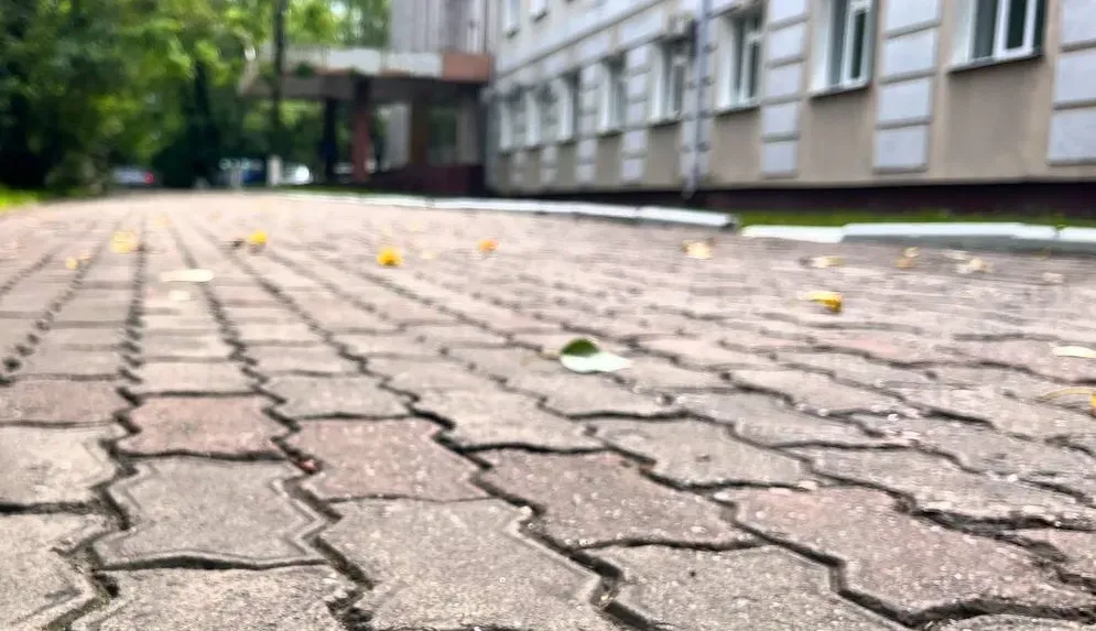 Подарят 2 тысячи кв. м. брусчатки с тротуаров Биробиджана муниципалитетам ЕАО