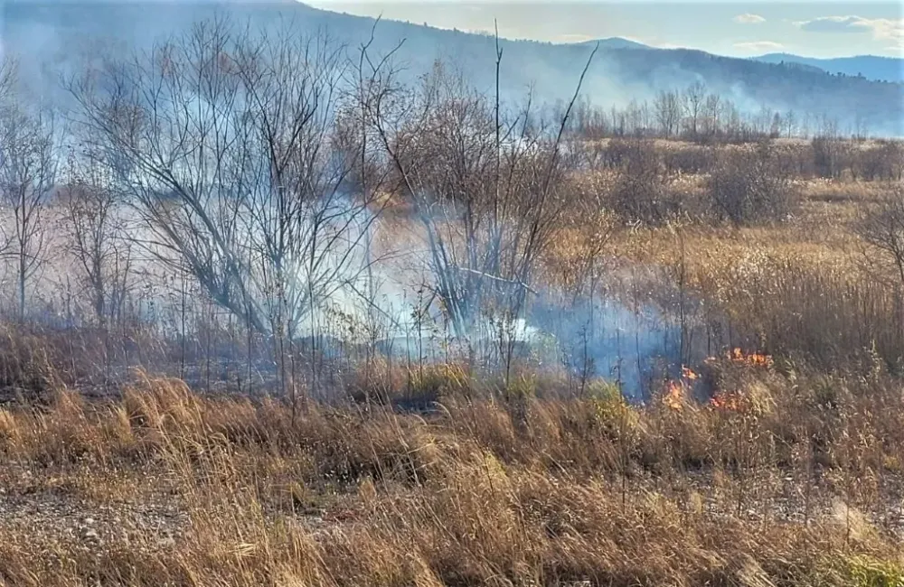 На тушение «Бастака» более 30 млн рублей затрачено в ЕАО