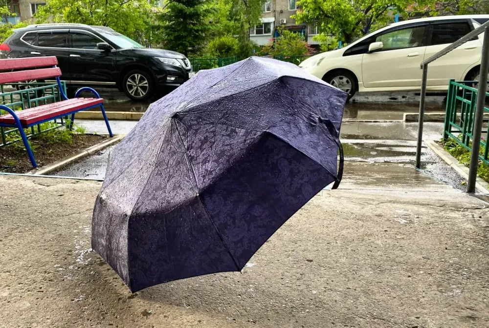 По-осеннему прохладная и пасмурная погода ждет жителей ЕАО 16 июля