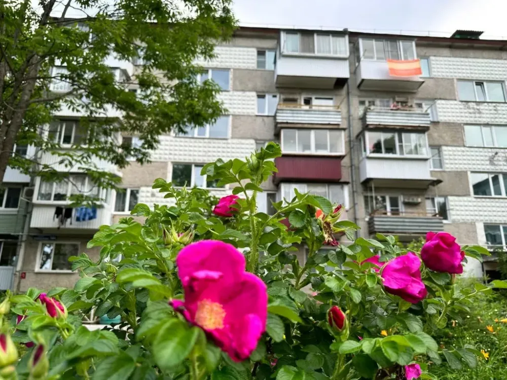 Легче продать квартиру, купленную на маткапитал, можно будет в России