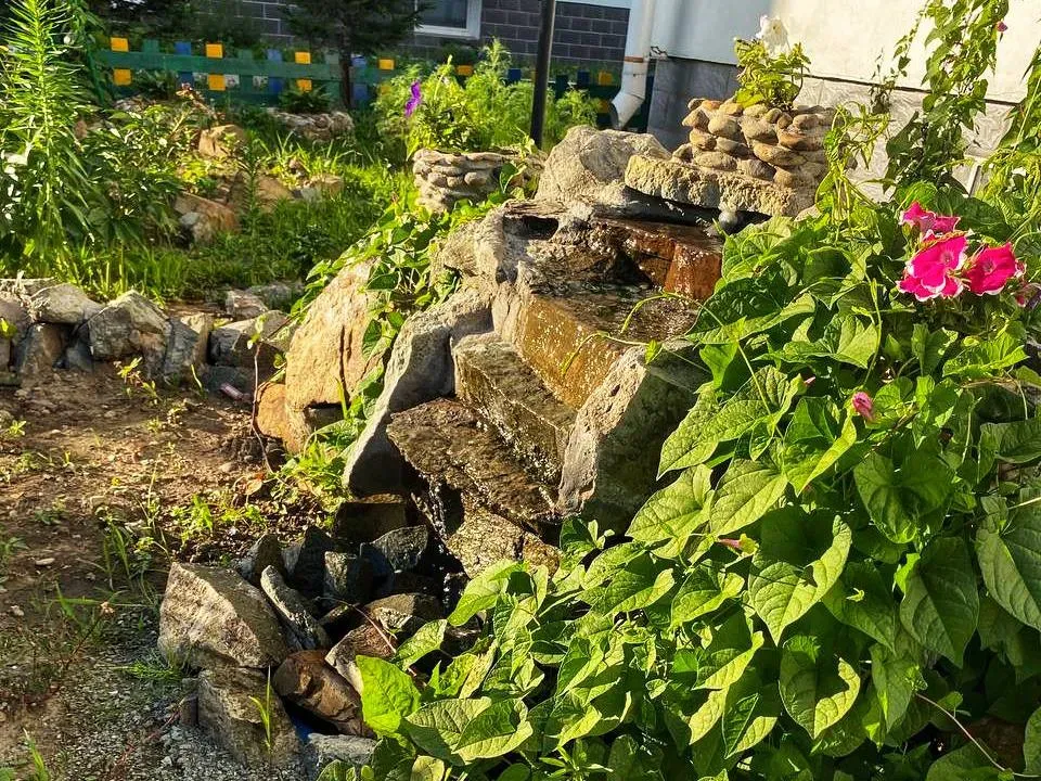 Летняя жара вернется в ЕАО 18 июля - прогноз погоды