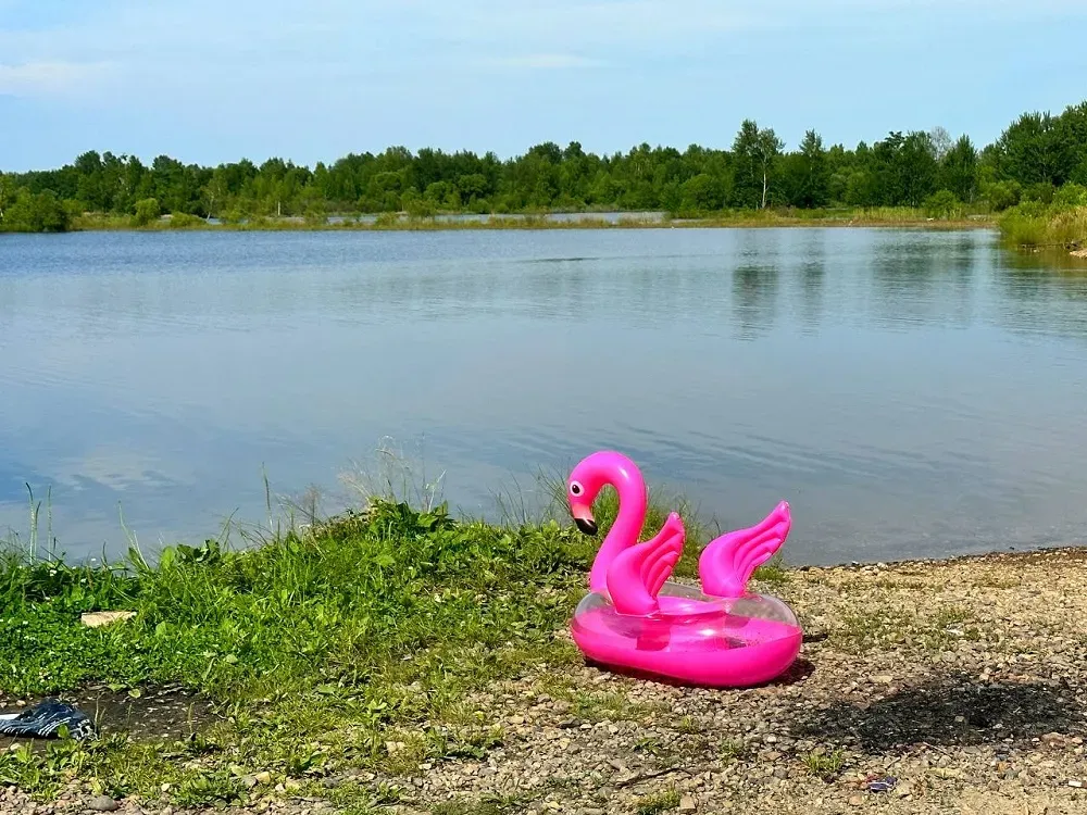 О запрете купания на пляжах Биробиджана заявил Роспотребнадзор ЕАО