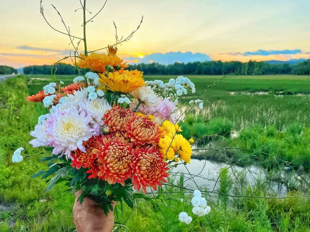 Какой будет погода в ЕАО 25 июля - прогноз