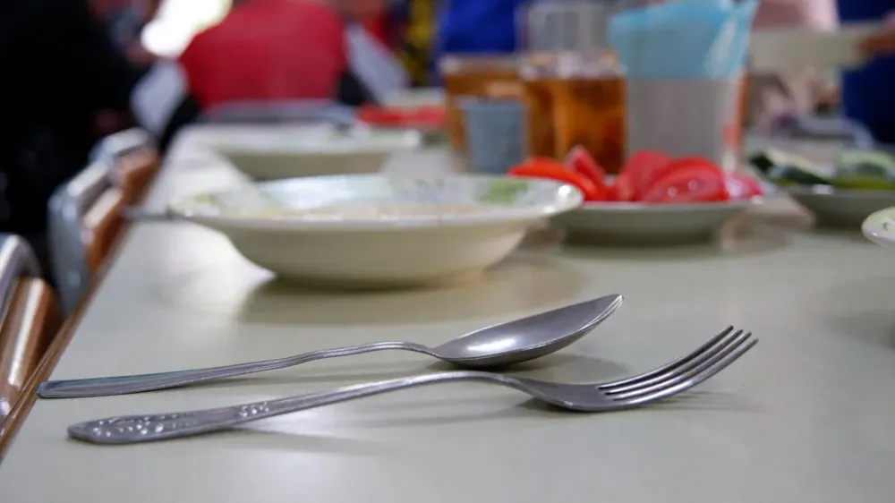 Бесплатным горячим питанием обеспечат младшеклассников в ЕАО