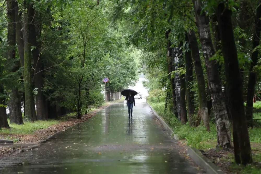 Какая будет погода в ЕАО в первый день осени, рассказали синоптики