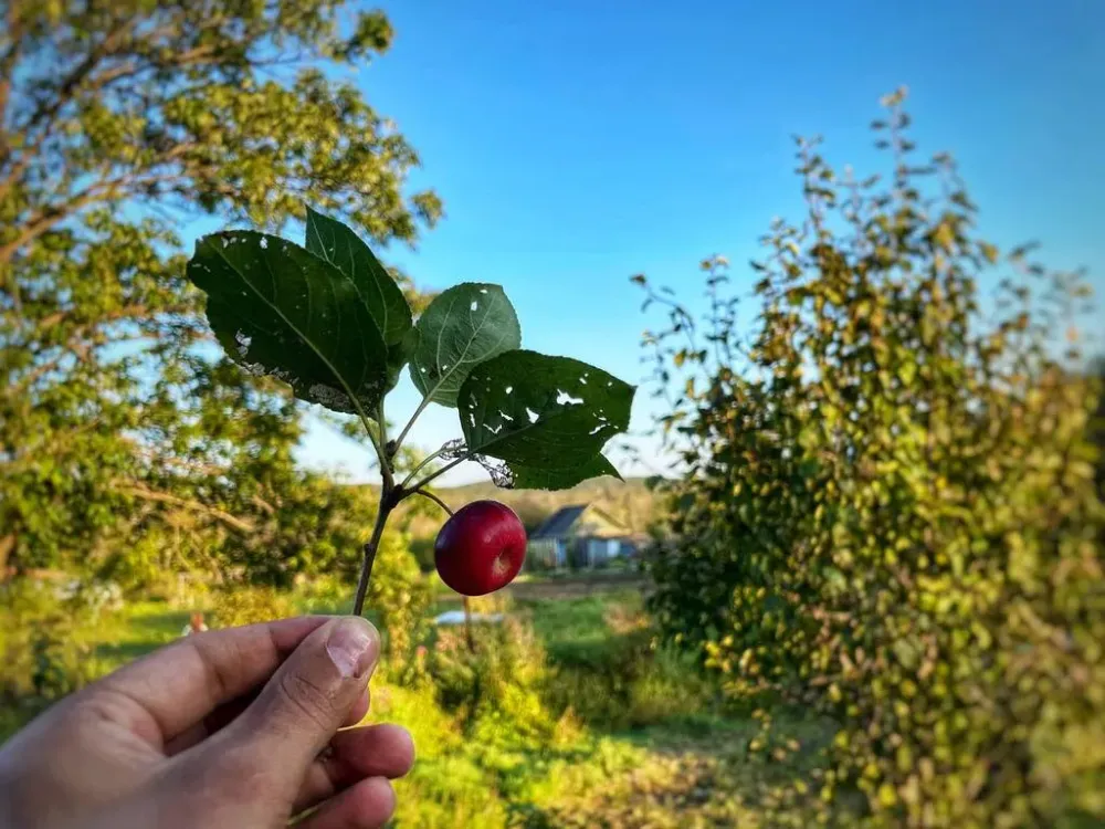 Осень вступает в свои права: Погода на воскресенье