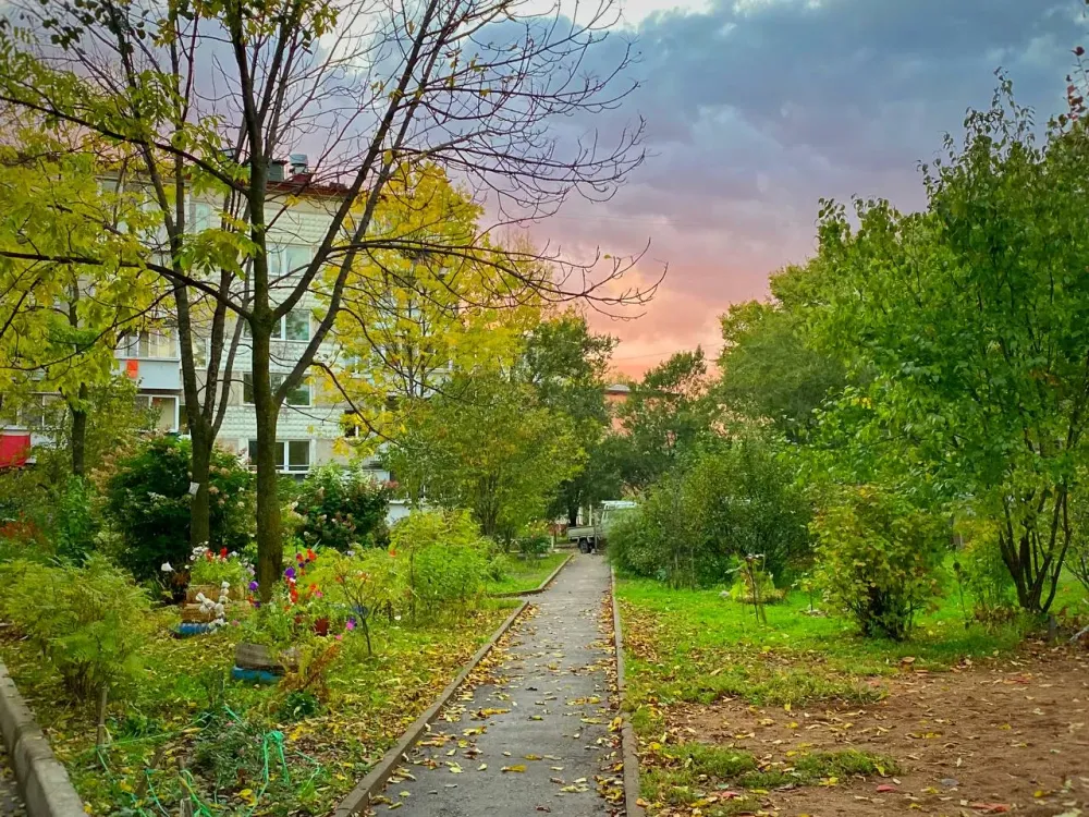 Резкий спад температуры прогнозируют синоптики на пятницу в ЕАО