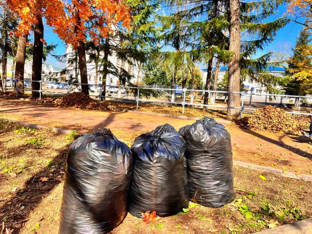 Свалку ликвидировали в одном из районов Хабаровска